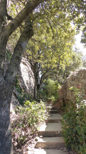 Coborârea prin Pla dels Ocells