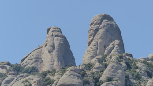 Elefantul (în stânga) și Maimuța (în dreapta)