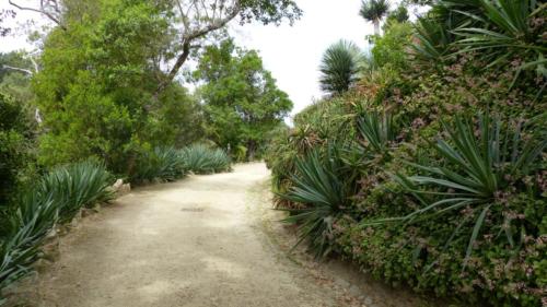 Parcul Monserrate